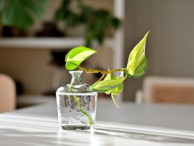 西山芳浩　朋子出品　花器 西山芳浩 楕円小ビン