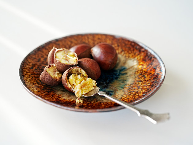 大沼道行 二彩丸皿