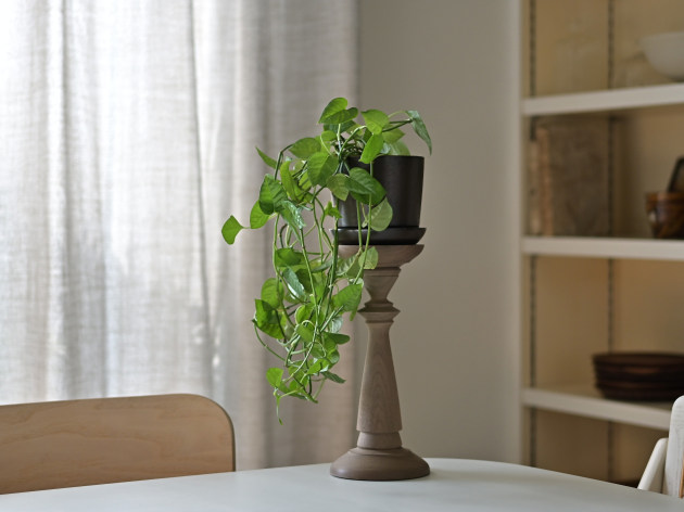 神野達也 燭台L（ウォルナット無塗装）